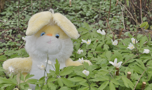 04-2010_ostern.png